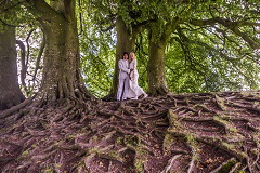 Wishing Tree Avebury